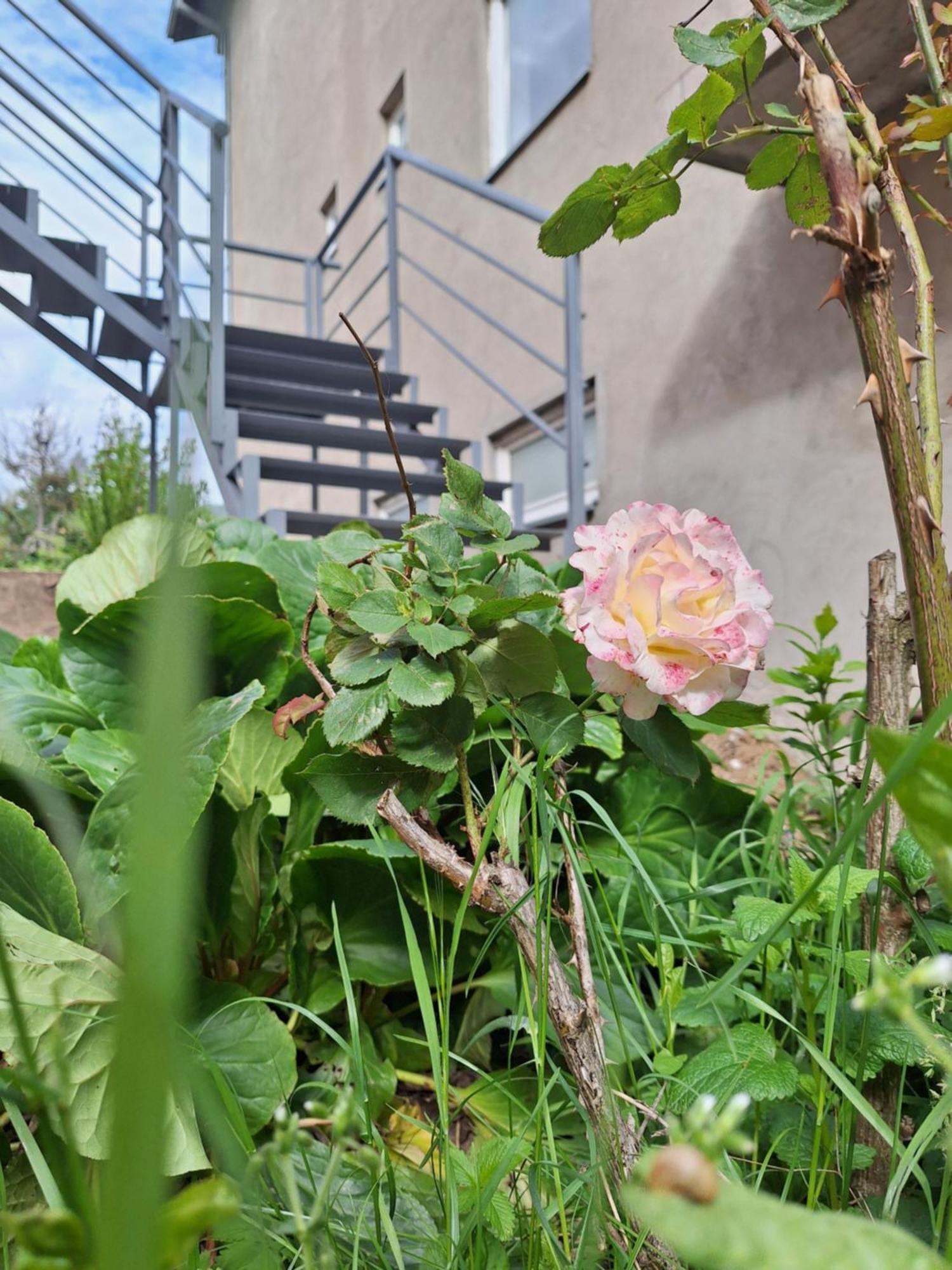 Apartmani Lena Plužine Esterno foto